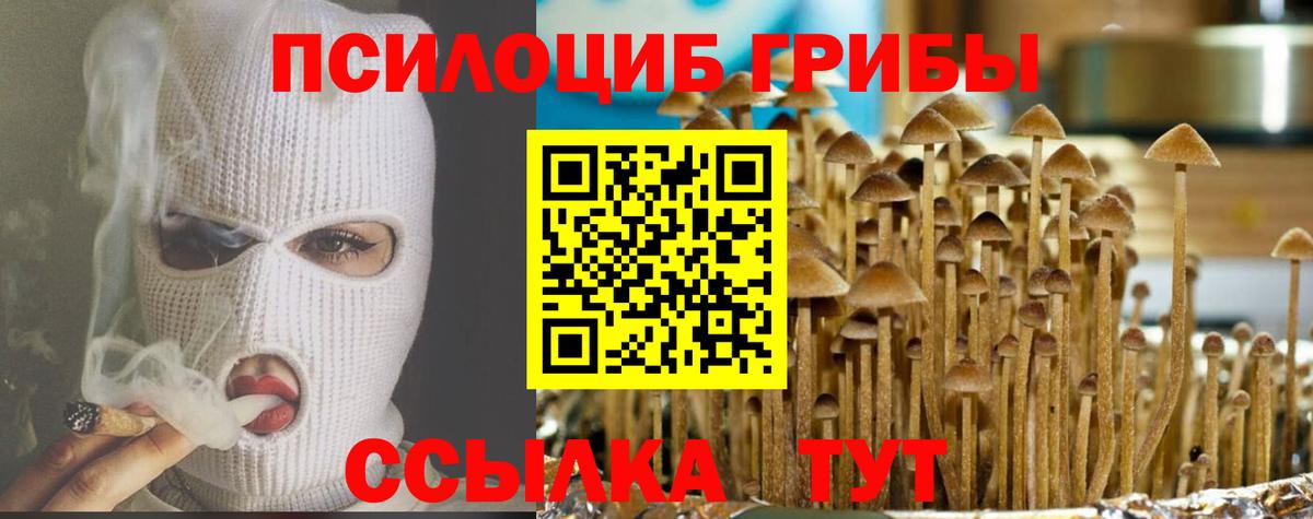 Галлюциногенные грибы Cubensis Жуковский